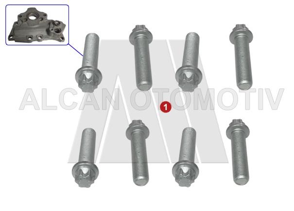 2109 - Duco Cap Cover Bolts